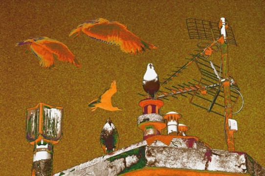 Photo Garde à vous !