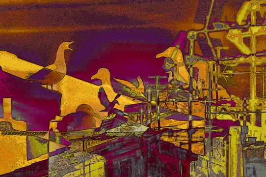 Galerie photos Marseille Gabians