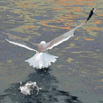 Arrête de décoller