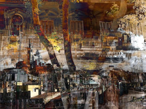 Photo Bouquet de platanes