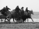 Galerie photos camargue