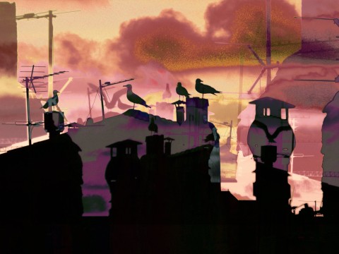 Photo Réunion au sommet