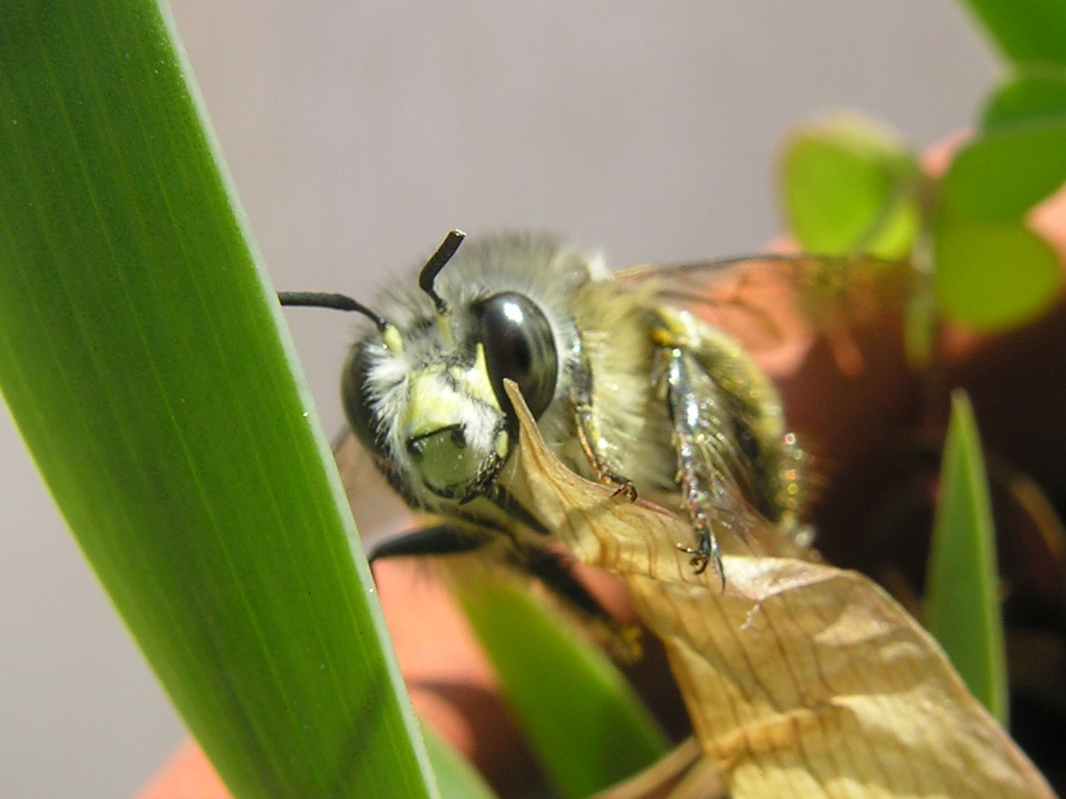 Touche pas mon papyrus !