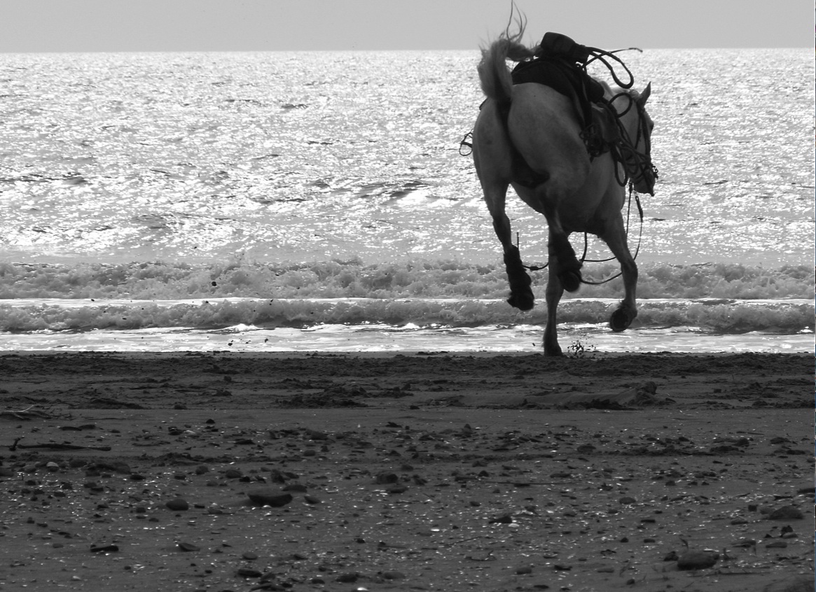 Ca ....c'est fait !!!!