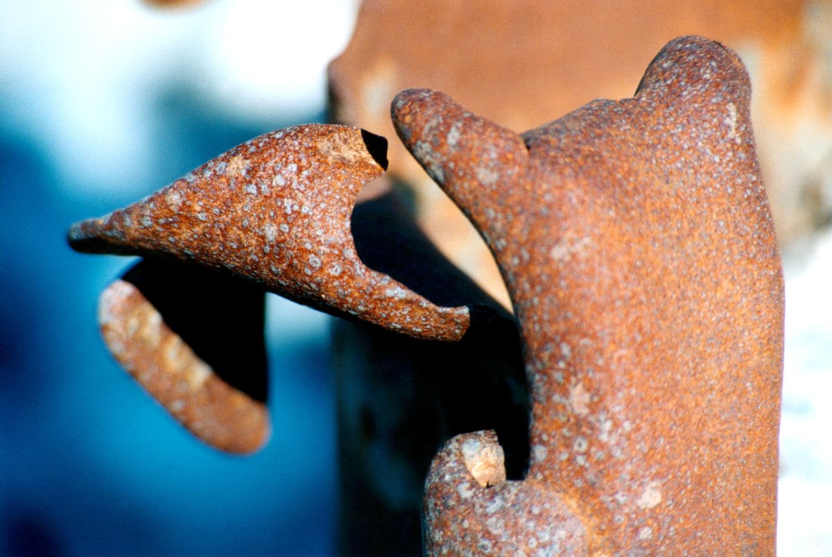 Le colimaçon siffleur