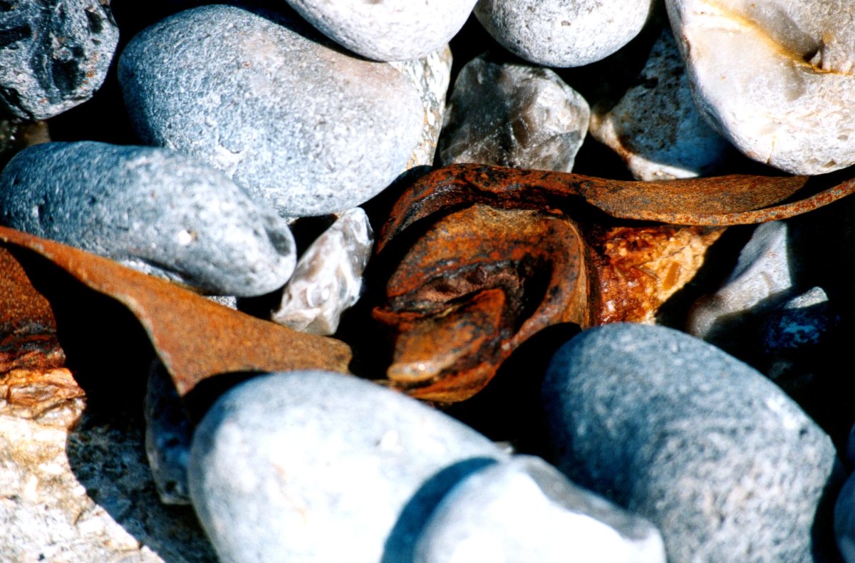 Oreille de locomotive